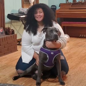 Meet your Posher, Kehiliarys